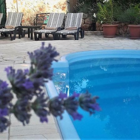 Lavender Hill Hvar Villa - Pool, Jacuzzi,Sauna,Bbq 斯塔里格勒 外观 照片