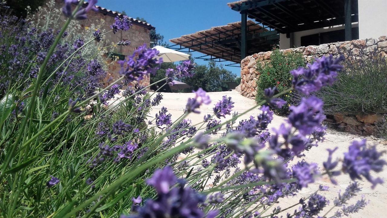 Lavender Hill Hvar Villa - Pool, Jacuzzi,Sauna,Bbq 斯塔里格勒 外观 照片