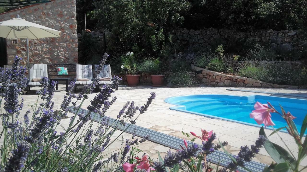 Lavender Hill Hvar Villa - Pool, Jacuzzi,Sauna,Bbq 斯塔里格勒 外观 照片